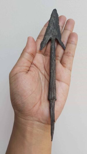 Spear Nenggolo - ZK-057