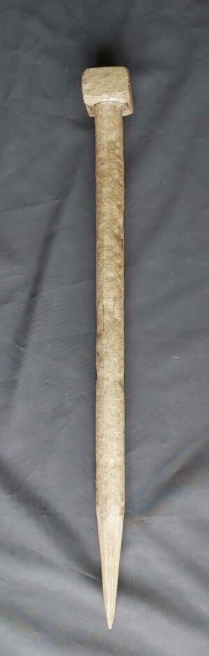 Paku Bumi - ZK-467-HMZ